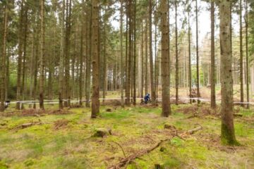 Mtb i Rold 24 timer